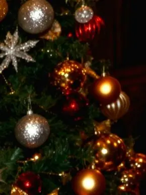 yu._.harin03의 좀비고와 보내는 크리스마스!🎄