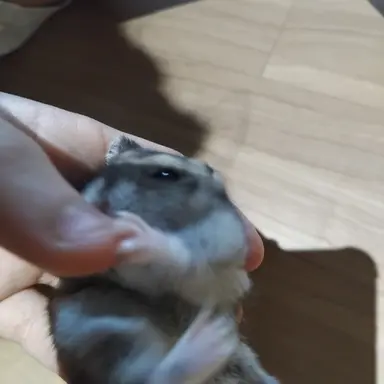 Profile image of 유저