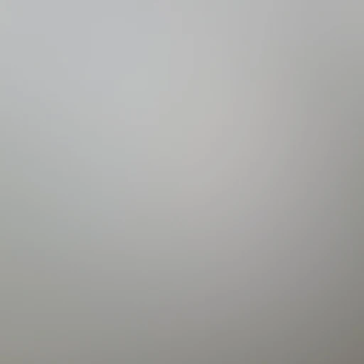 왕소