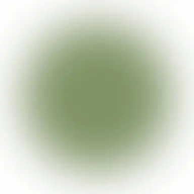 Profile image of 食満留三郎