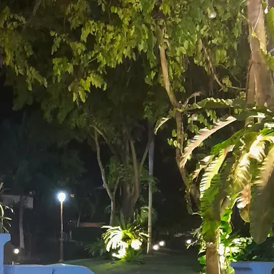 Profile image of 한유진