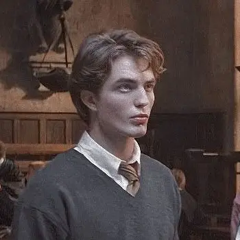 amyamyamy의 Cedric Diggory
