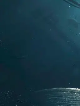 gasharpoon의 ・₊🐚𓇼°₊