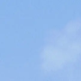 Profile image of 유저