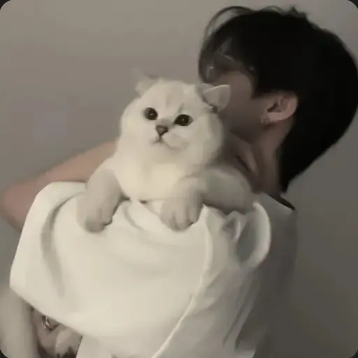 14-08-22의 김윤제