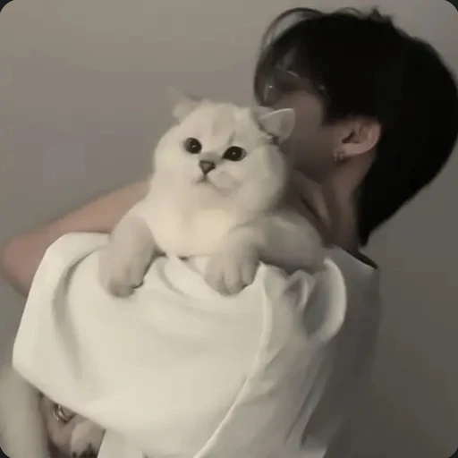 김윤제