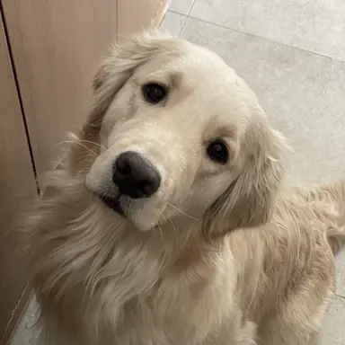 Profile image of ユノ