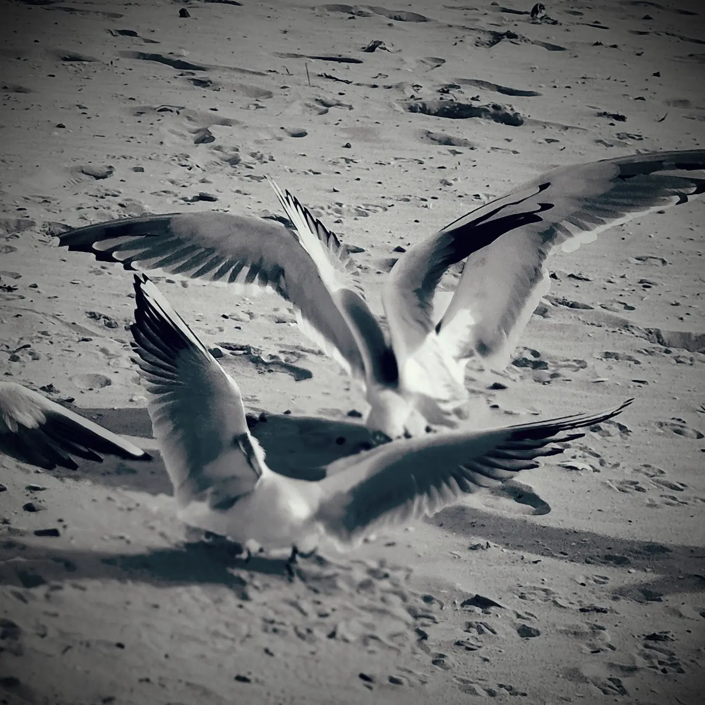 YOUequalMEequalBAAM의 바보