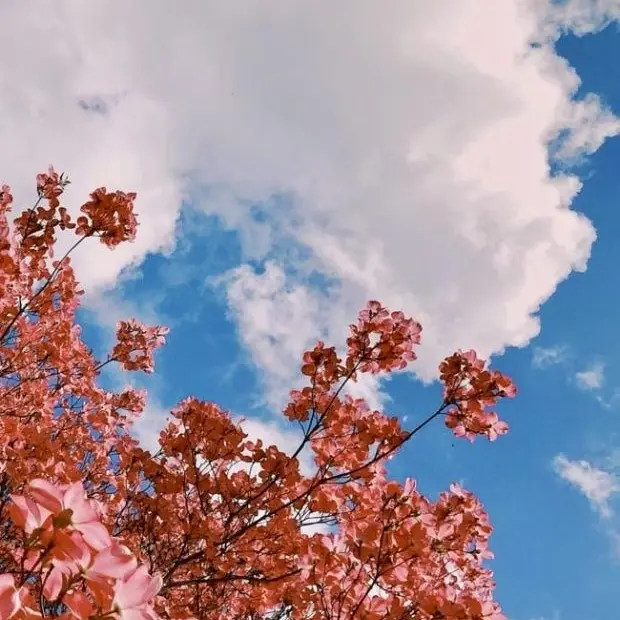 IAN_.의 미스터리 수사반 2