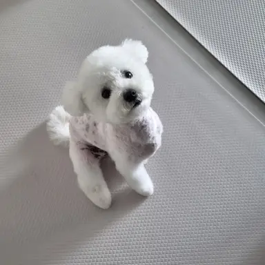 Profile image of 연프 진행자