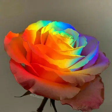 Profile image of 미스터리 수사반