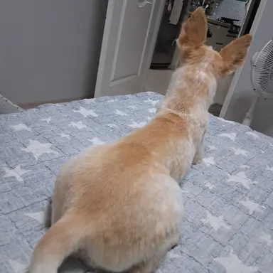 Profile image of 유튭중