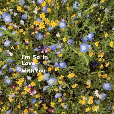 Profile image of 1x1x1x1