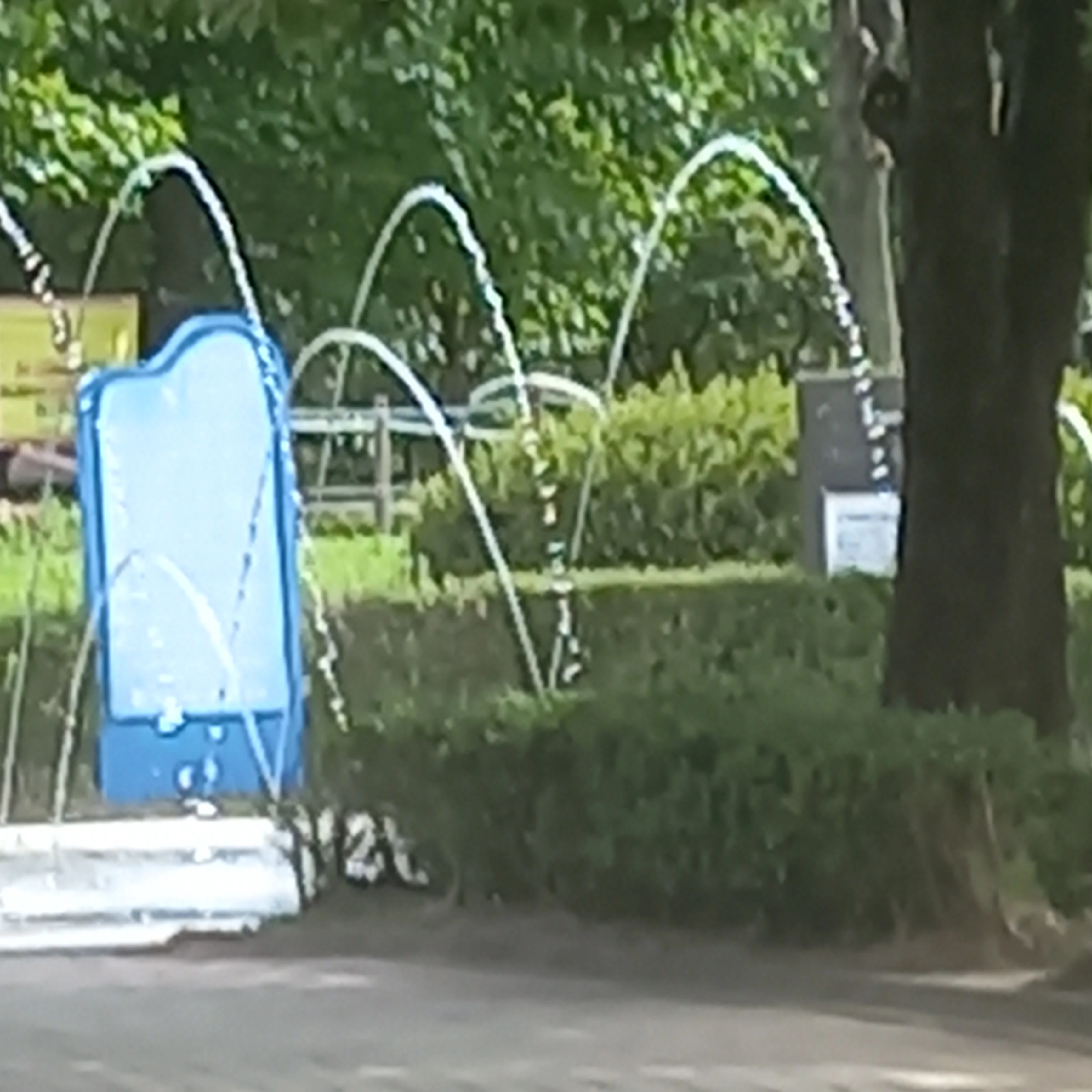인생