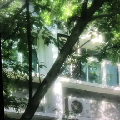 Profile image of 鉢屋三郎