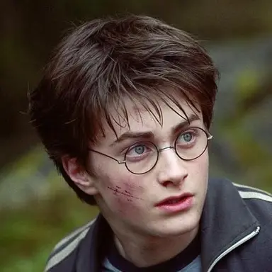 Profile image of Harry