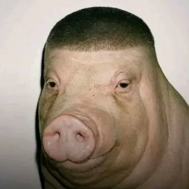 Profile image of 부타 히나타