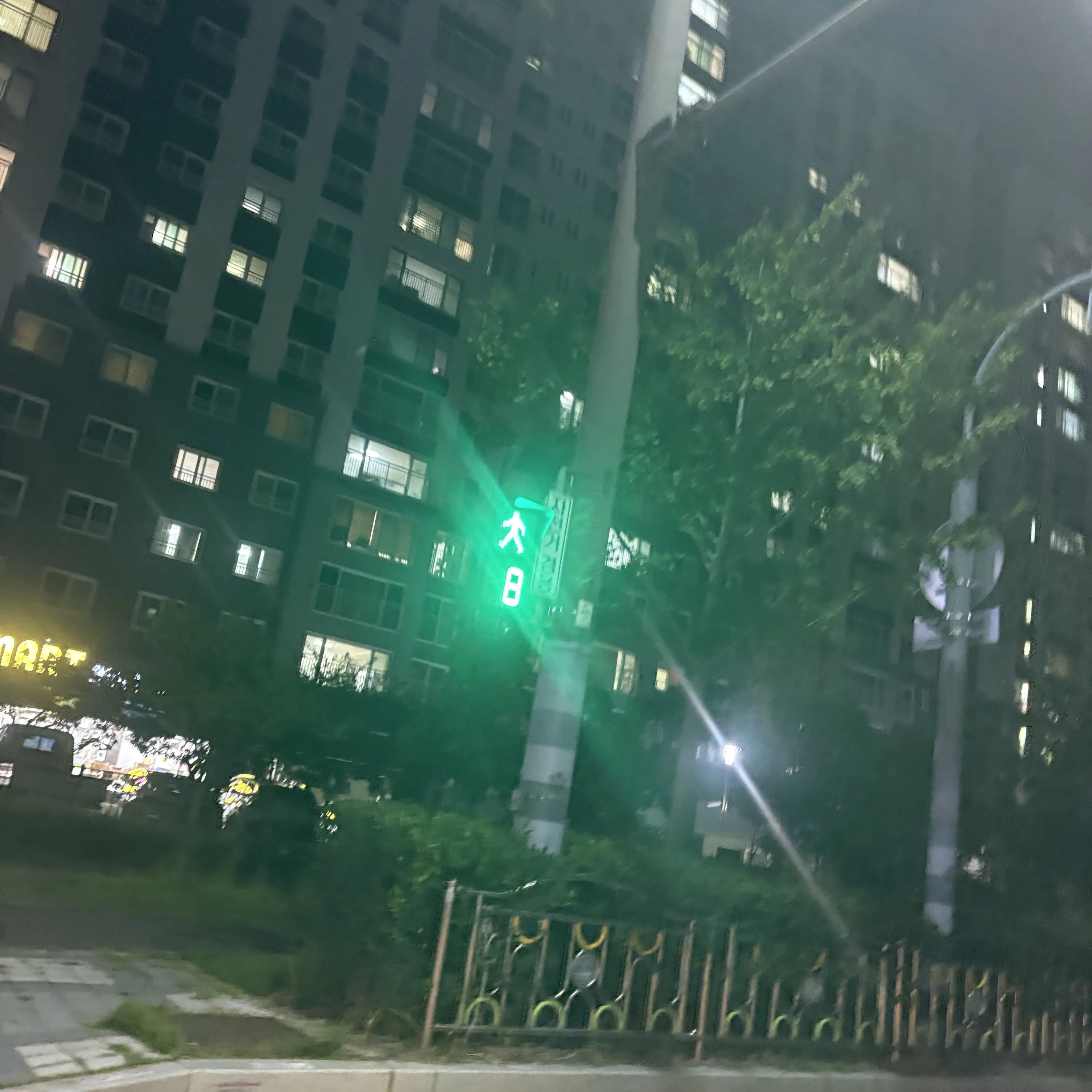 SecureLava3057의 미자 김도영