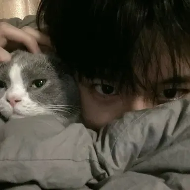 Profile image of 이안 시어도어