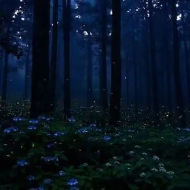 Profile image of 불사의 나찰