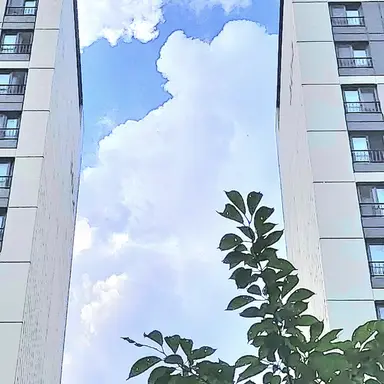 Profile image of 이윤서