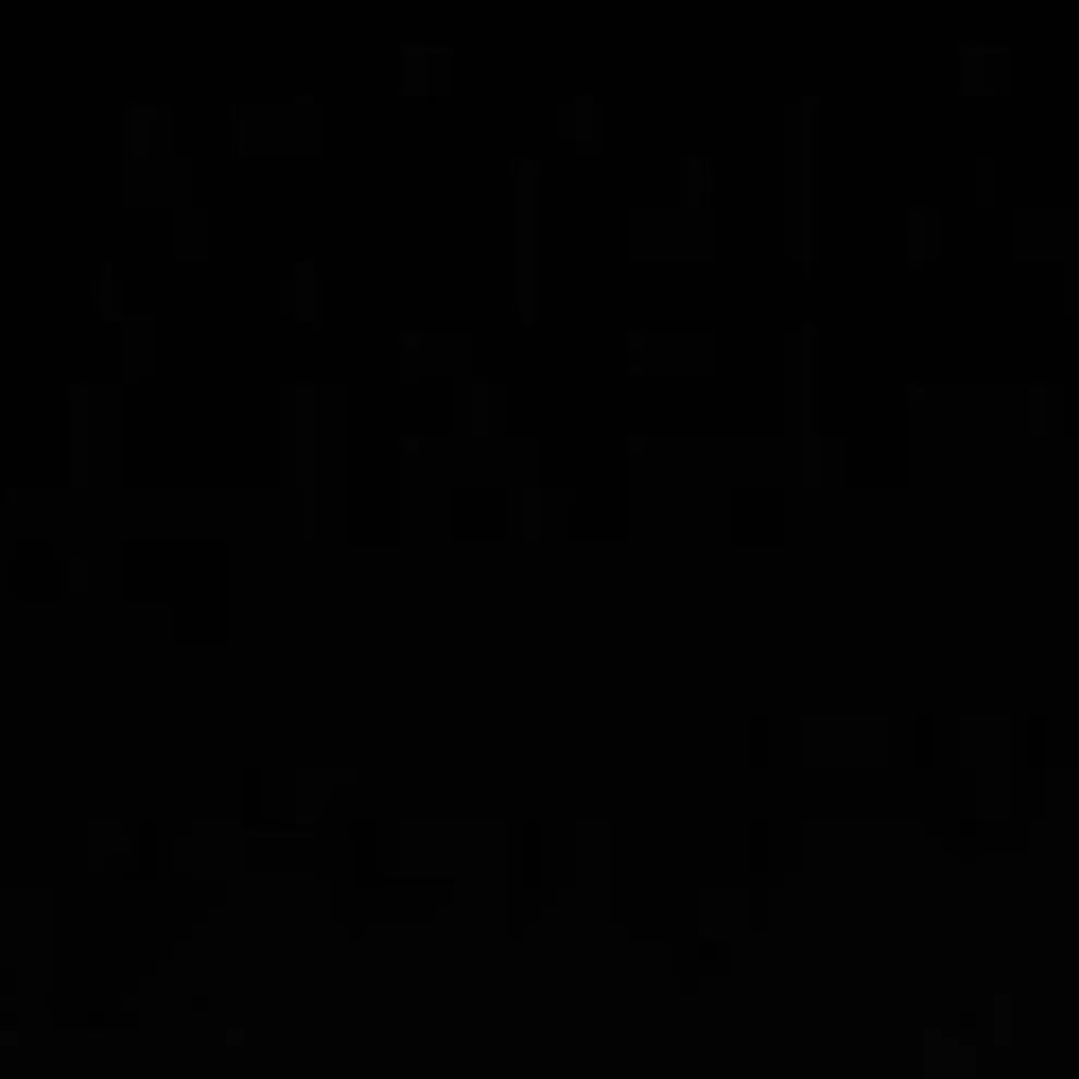 gimmasikketta의 김대영