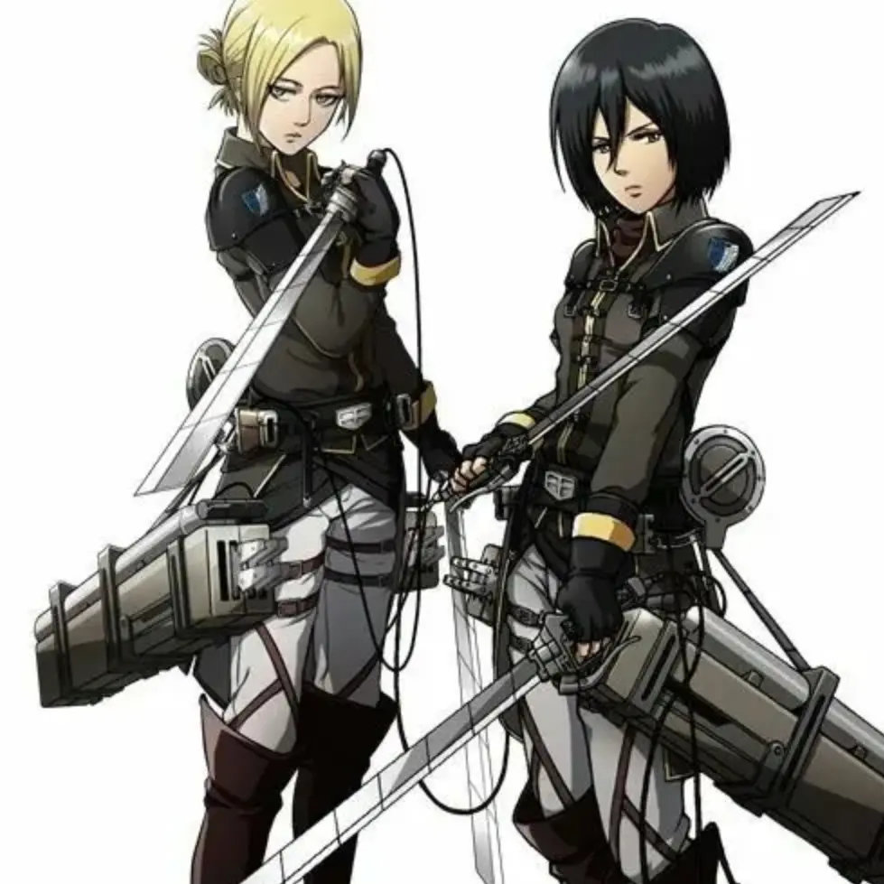 RearDoxle9895의 애니래온하트,미카사아커만