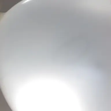 Profile image of 진행자