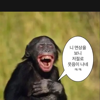 Profile image of 여우