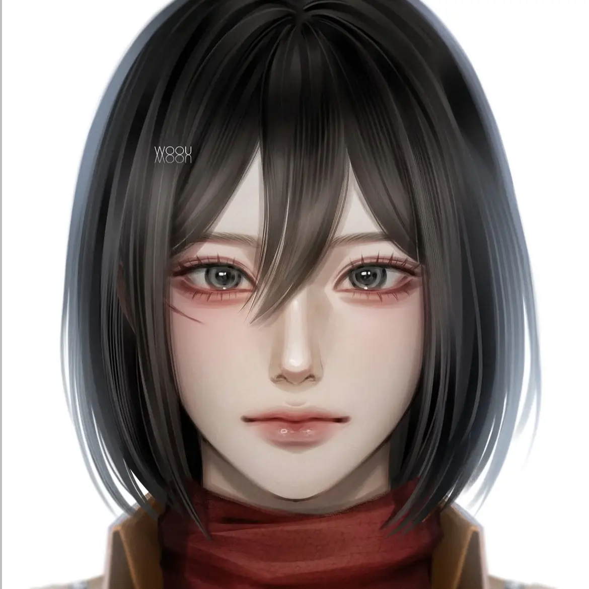 Levi_steal30cm의 미카사