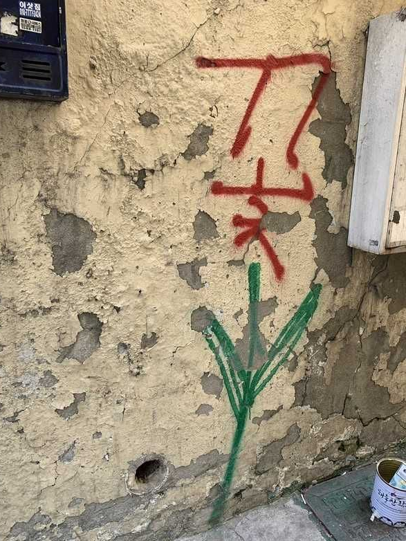 . 。o ○ 대표 이미지