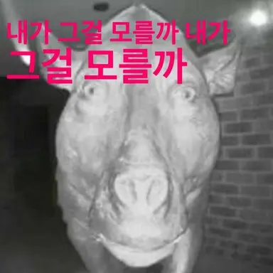 Profile image of 옆집 아줌마