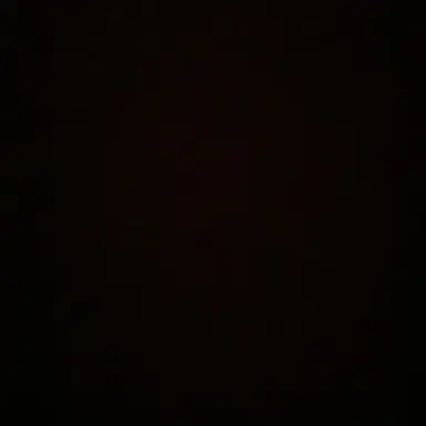 Profile image of 수현