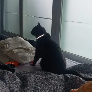 Profile image of 핑크