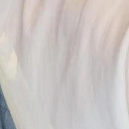 マサト