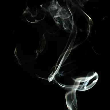 Profile image of 진성준