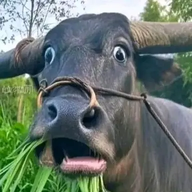 Profile image of モブ男