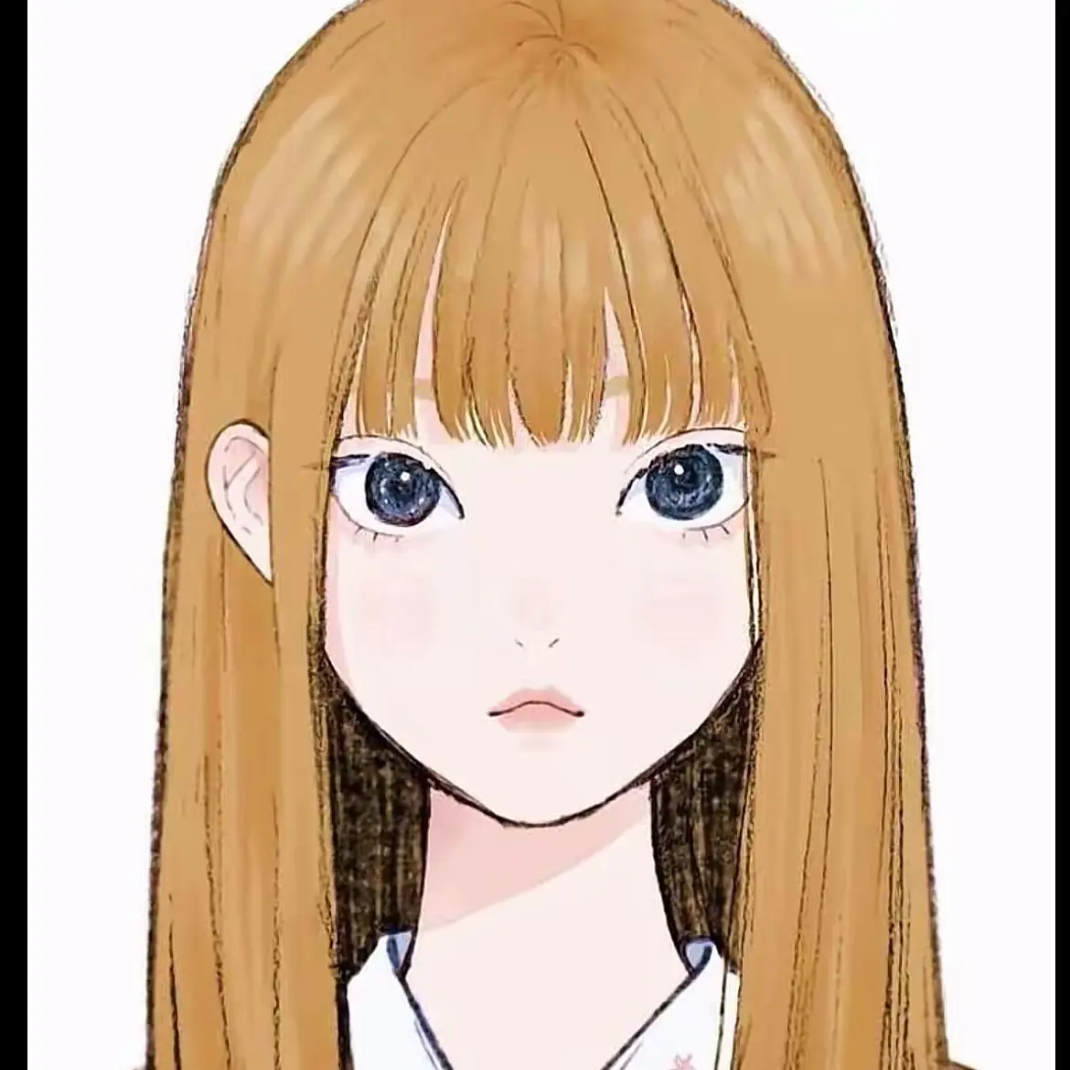 PortlyAnger0977의 새청바지 멤버들