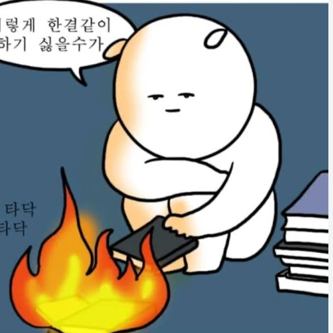 공싫
