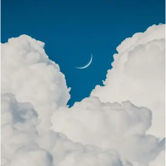 Profile image of 한정음