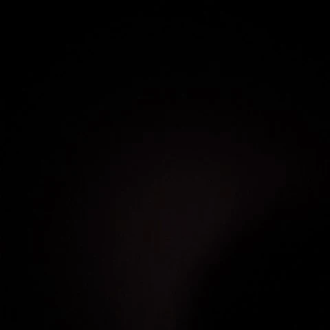 심판