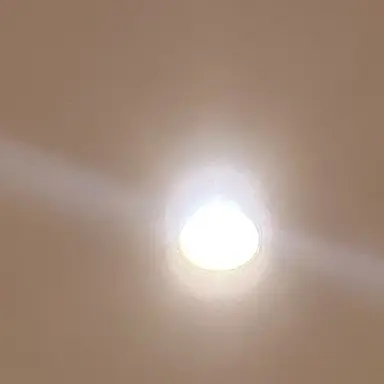 Profile image of ステラン