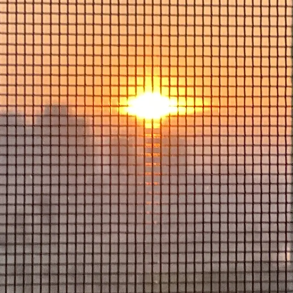 ..3의 이웃집 좀비 (찐찐갠용)