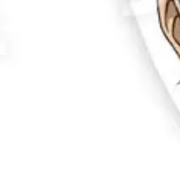 Profile image of しゅう先生