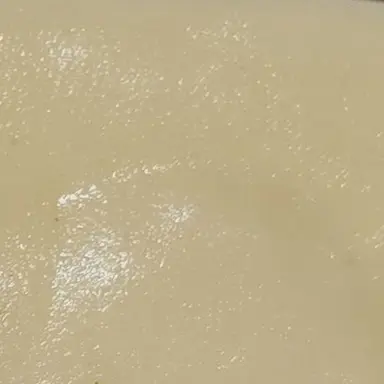 Profile image of 게파드