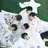 엔시티 위시