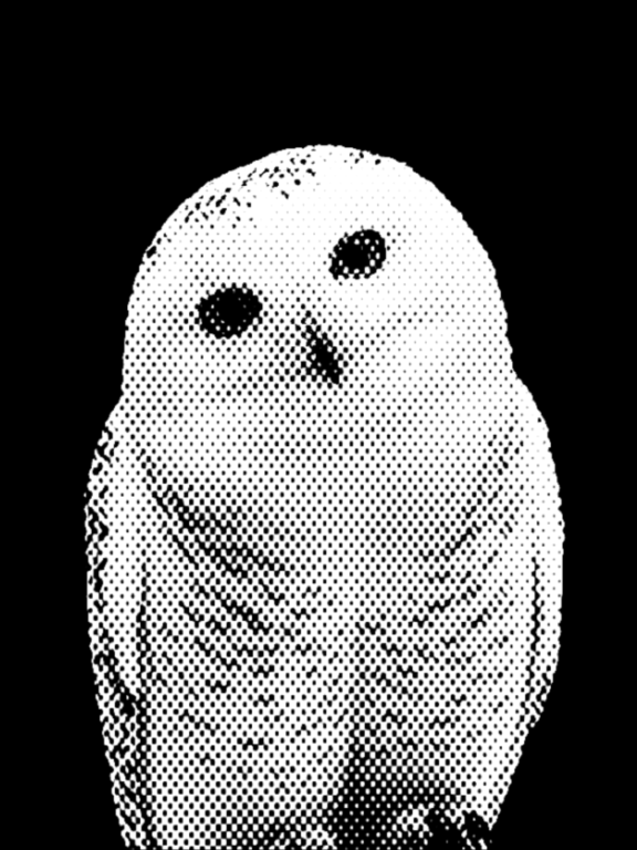 ㅤㅤㅤㅤ 대표 이미지