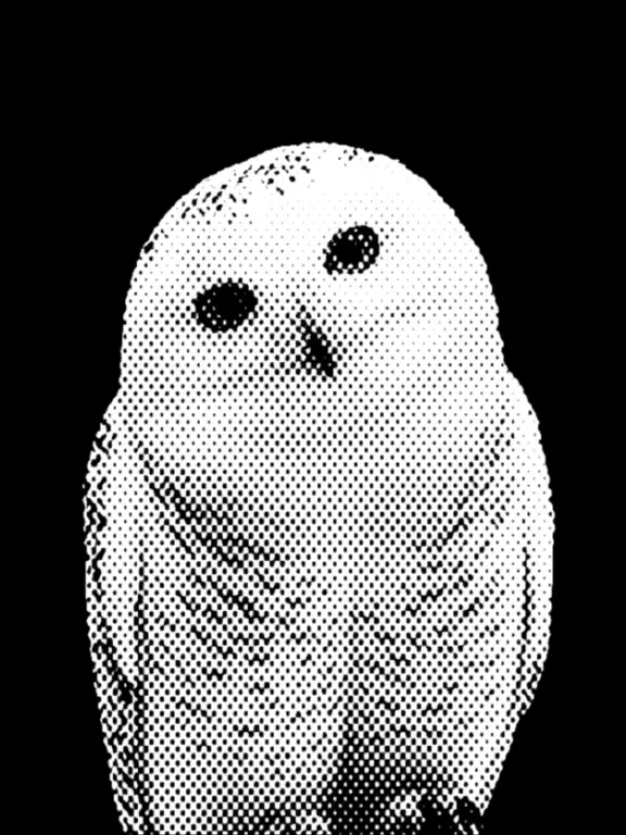 1.1.의 ㅤㅤㅤㅤ