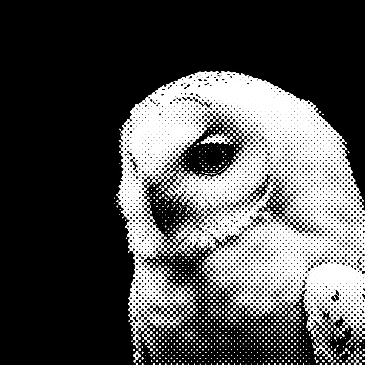 윤