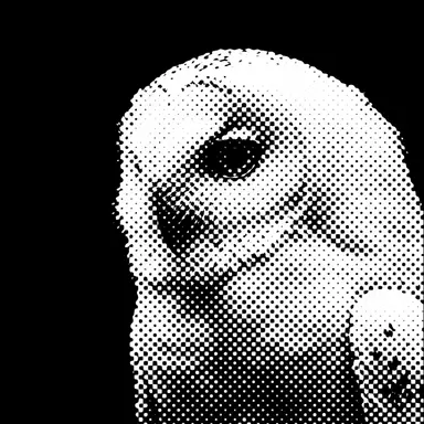 Profile image of 윤